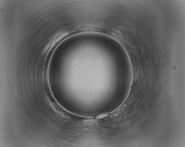 X0000063450050200601201231