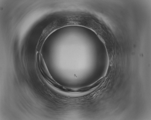 X0000063450052200601201231