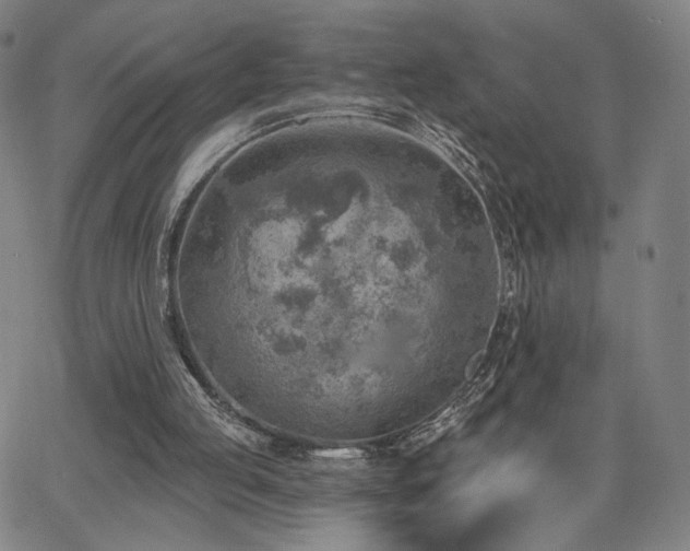 X0000063450053200601201231