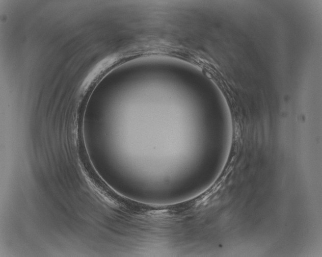 X0000063450054200601201231