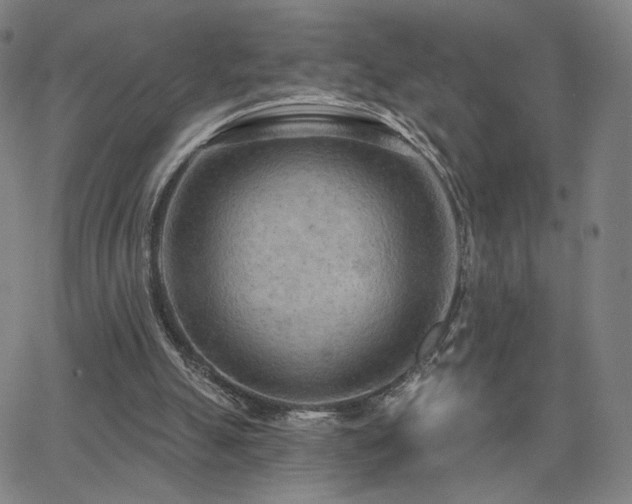 X0000063450055200601201231