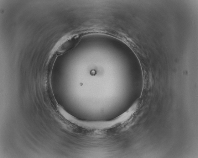 X0000063450056200601201231