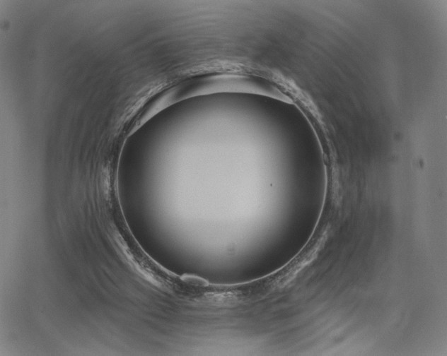 X0000063450057200601201231