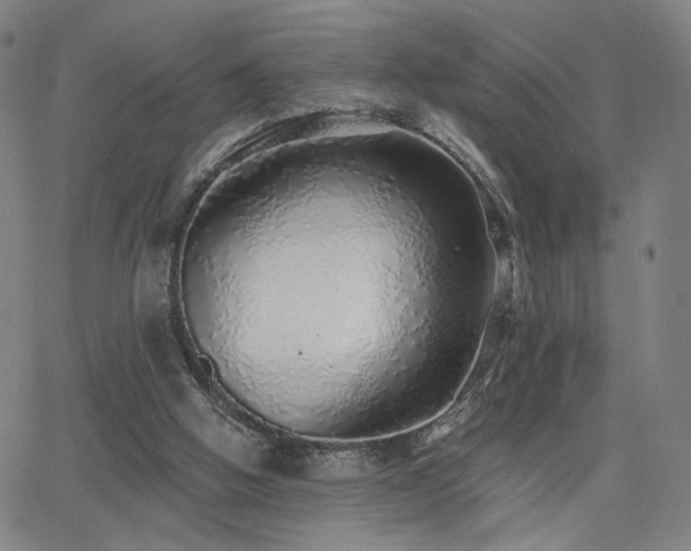 X0000063450058200601201231