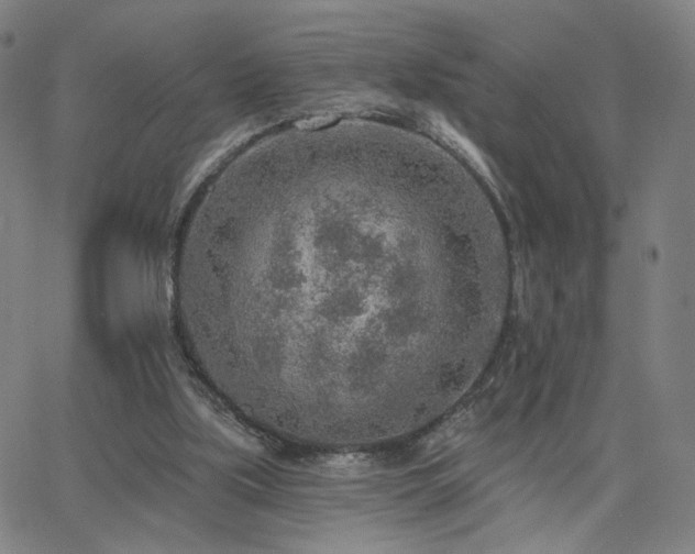 X0000063450059200601201231