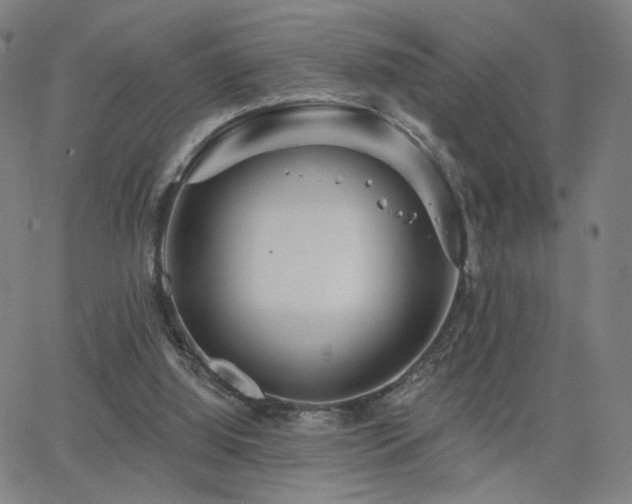 X0000063450060200601201231