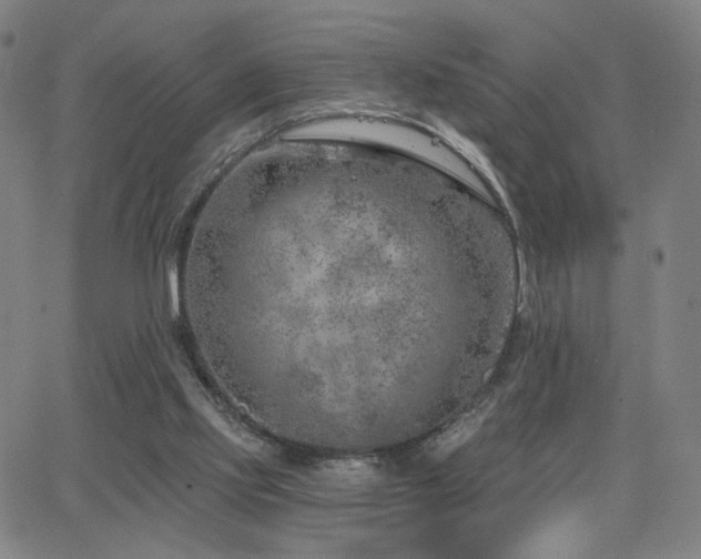 X0000063450061200601201231