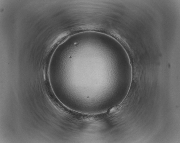 X0000063450062200601201231