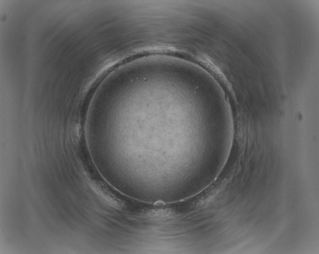 X0000063450063200601201231