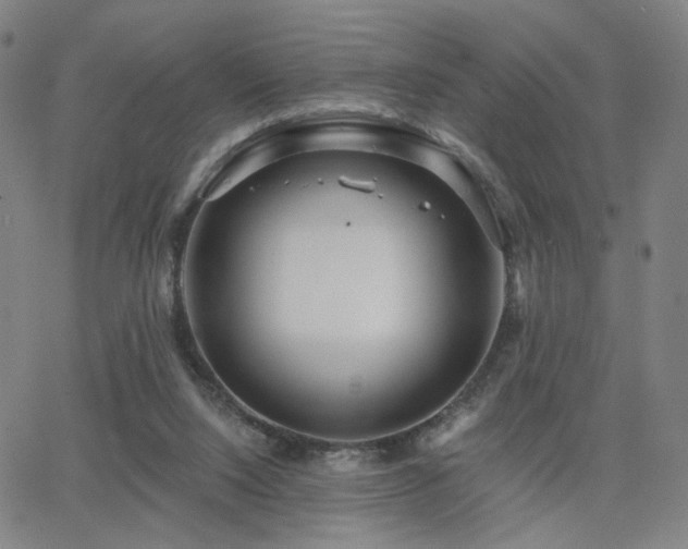 X0000063450064200601201231