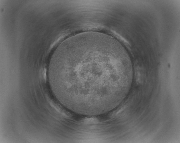 X0000063450067200601201231