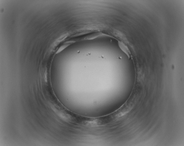 X0000063450068200601201231