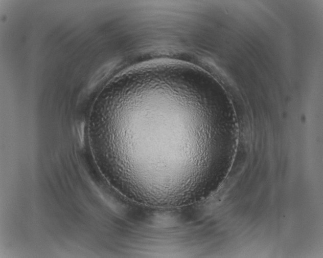 X0000063450070200601201231