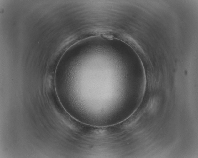 X0000063450071200601201231