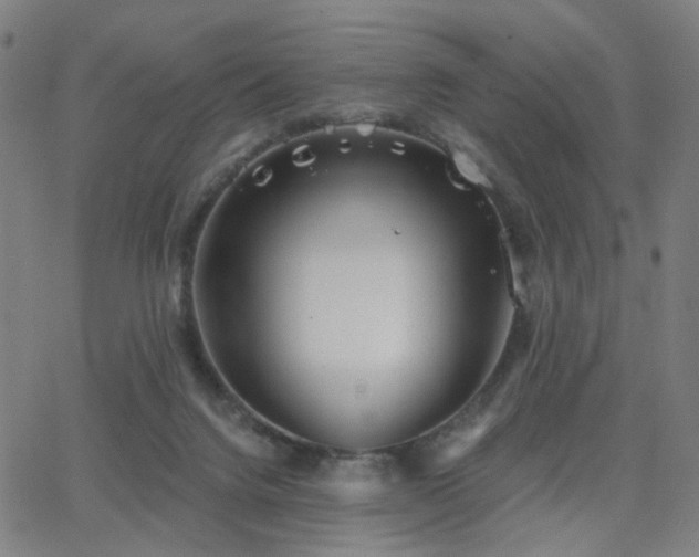 X0000063450072200601201231