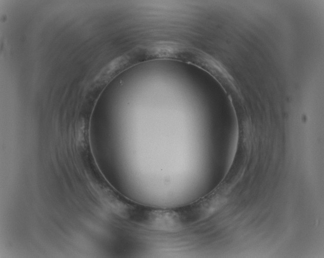 X0000063450073200601201231