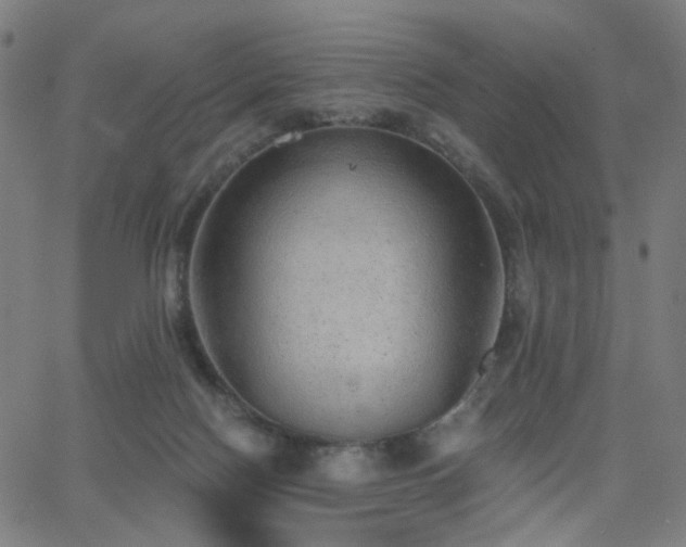 X0000063450074200601201231