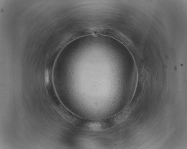 X0000063450075200601201231