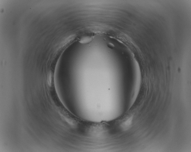 X0000063450076200601201231