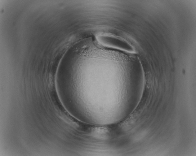 X0000063450077200601201231