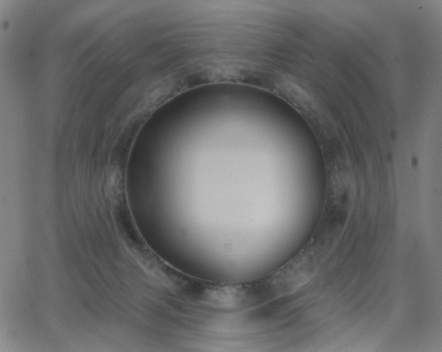 X0000063450079200601201231