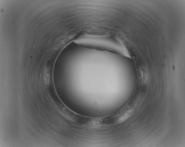 X0000063450080200601201231