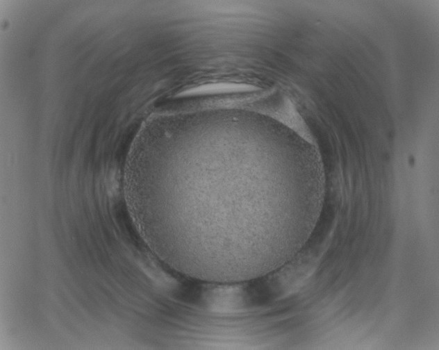 X0000063450081200601201231