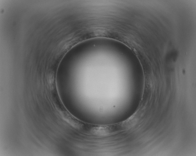 X0000063450082200601201231