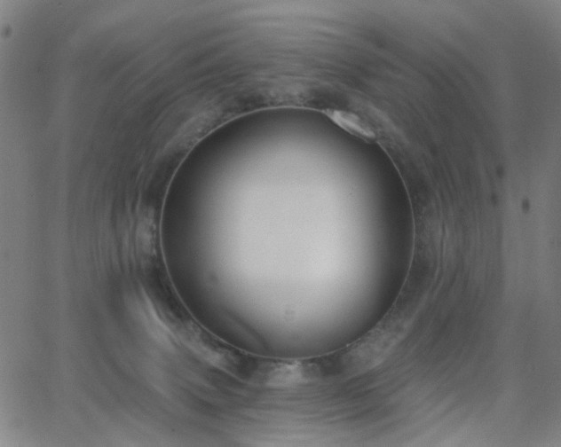 X0000063450083200601201231