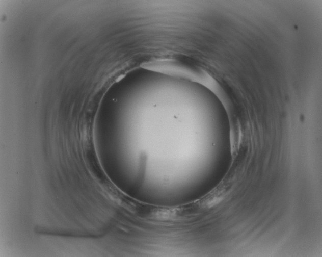 X0000063450084200601201231