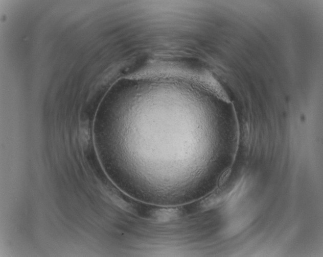 X0000063450085200601201231