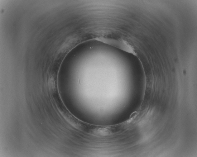 X0000063450086200601201231