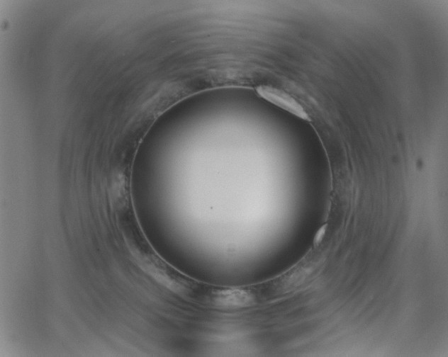 X0000063450087200601201231