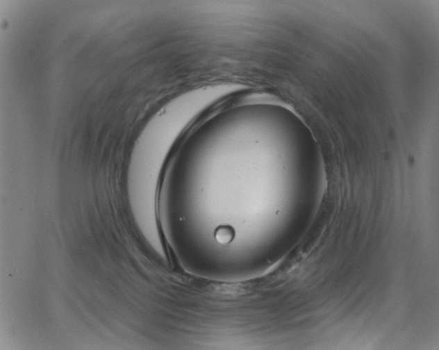 X0000063450088200601201231