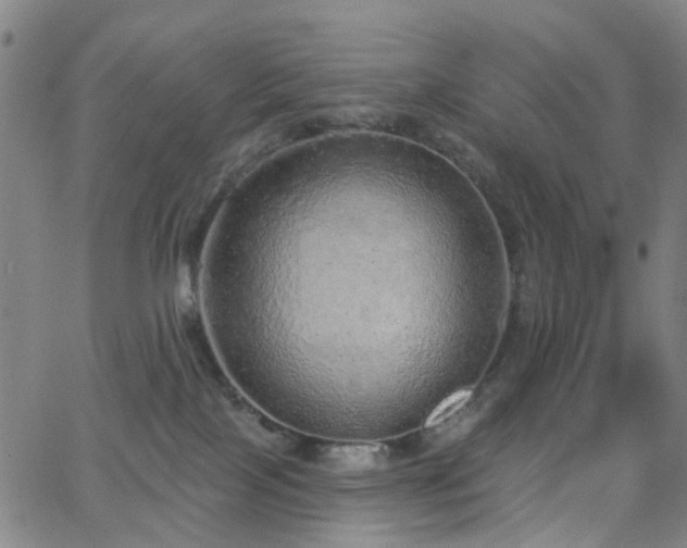 X0000063450089200601201231