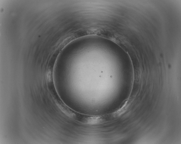 X0000063450090200601201231