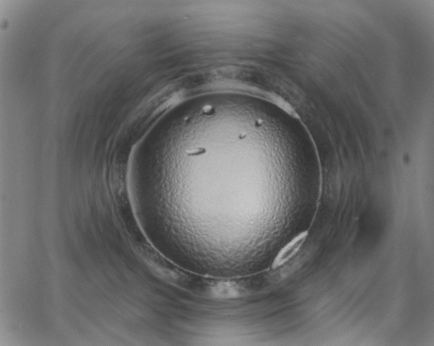 X0000063450091200601201231