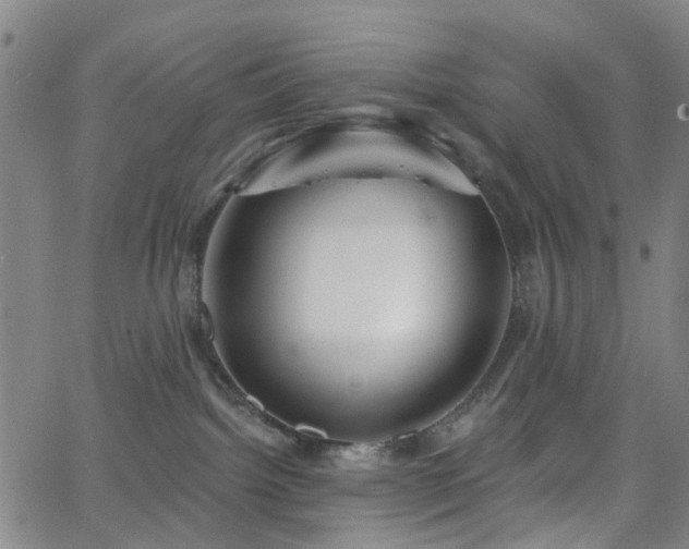 X0000063450092200601201231