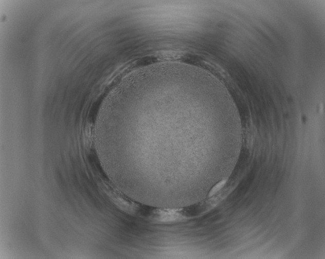 X0000063450093200601201231