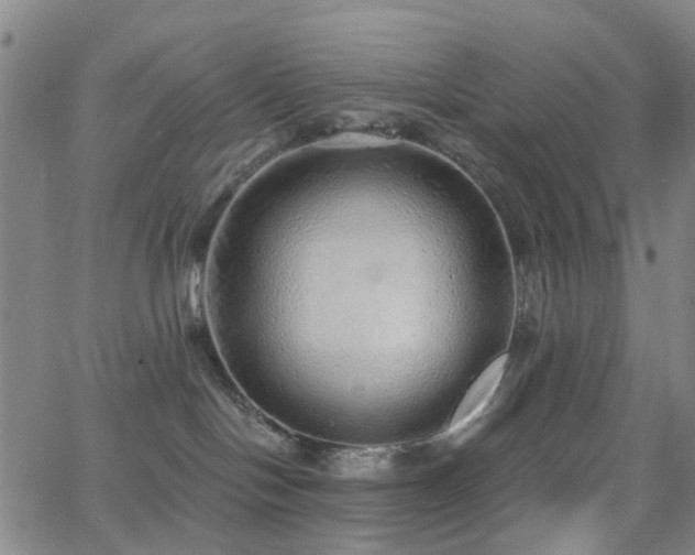 X0000063450094200601201231