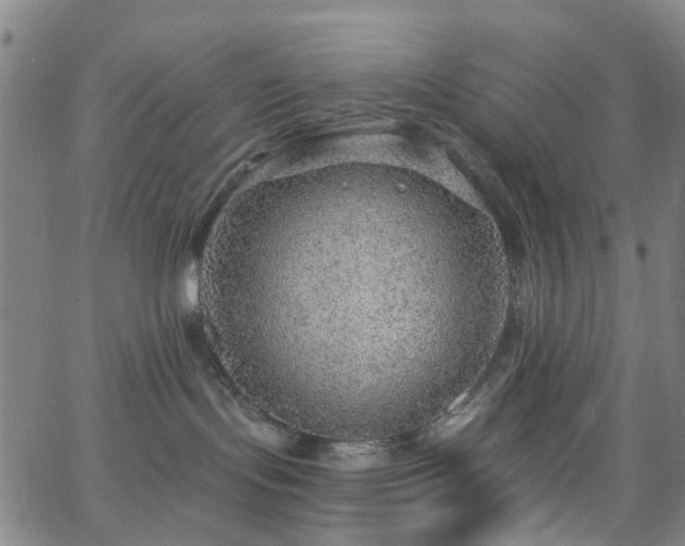 X0000063450095200601201231