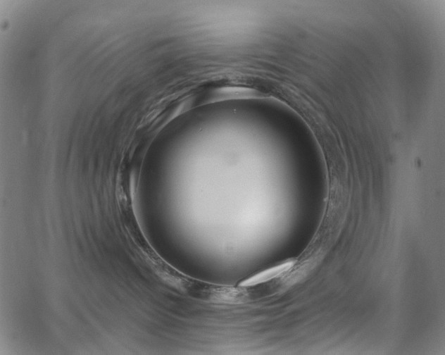 X0000063450096200601201231