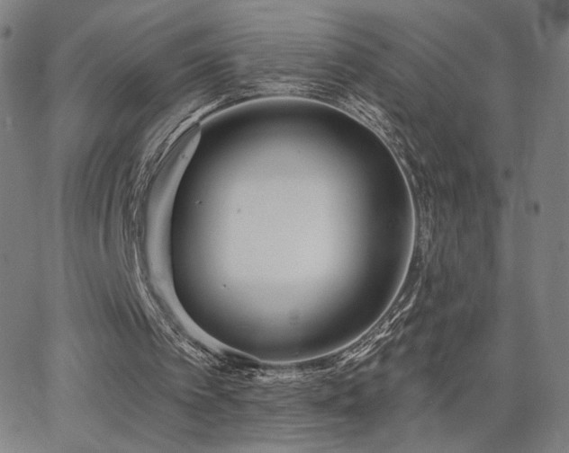 X0000063450097200601201231