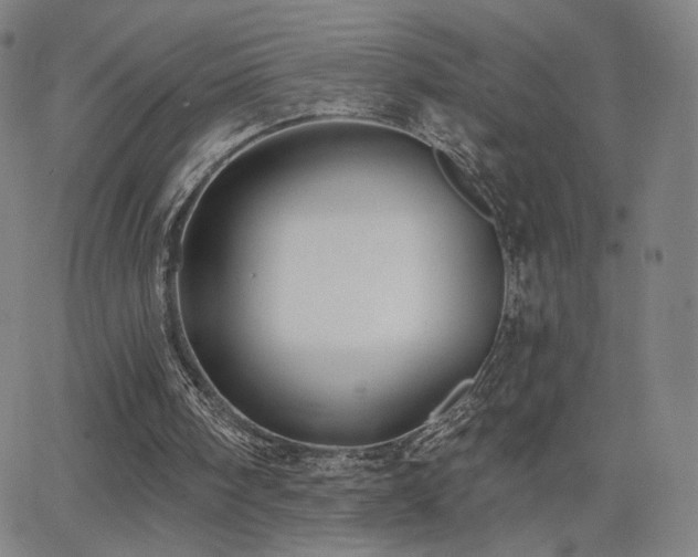 X0000063450098200601201231