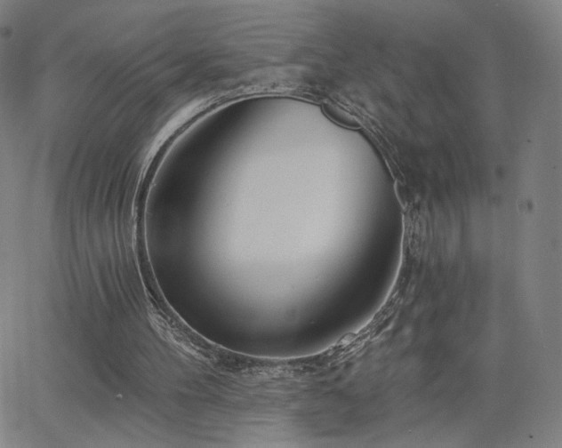 X0000063450100200601201231