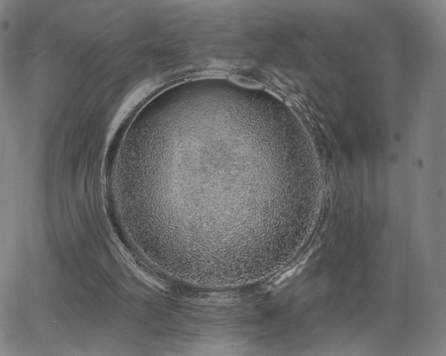 X0000063450102200601201230