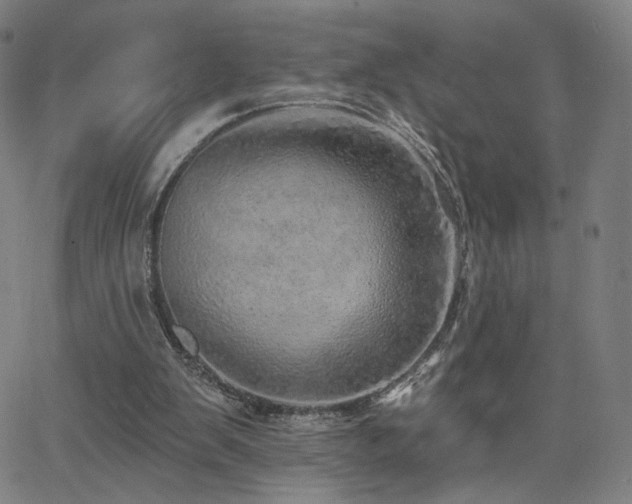 X0000063450103200601201230