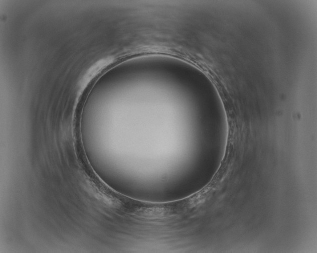 X0000063450104200601201230