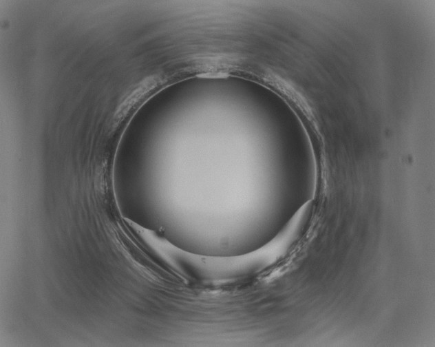 X0000063450105200601201230