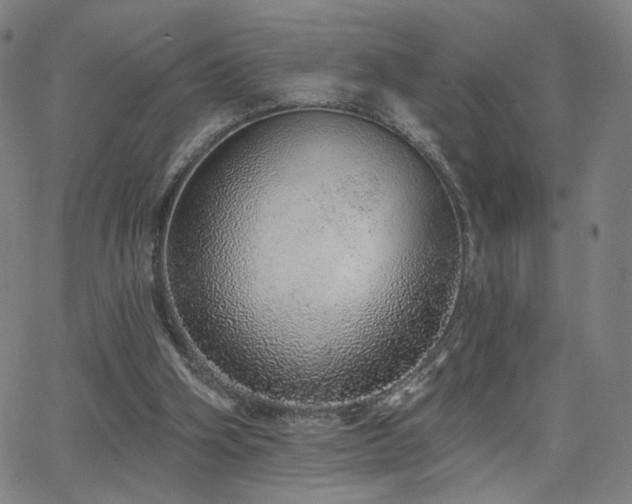 X0000063450106200601201230